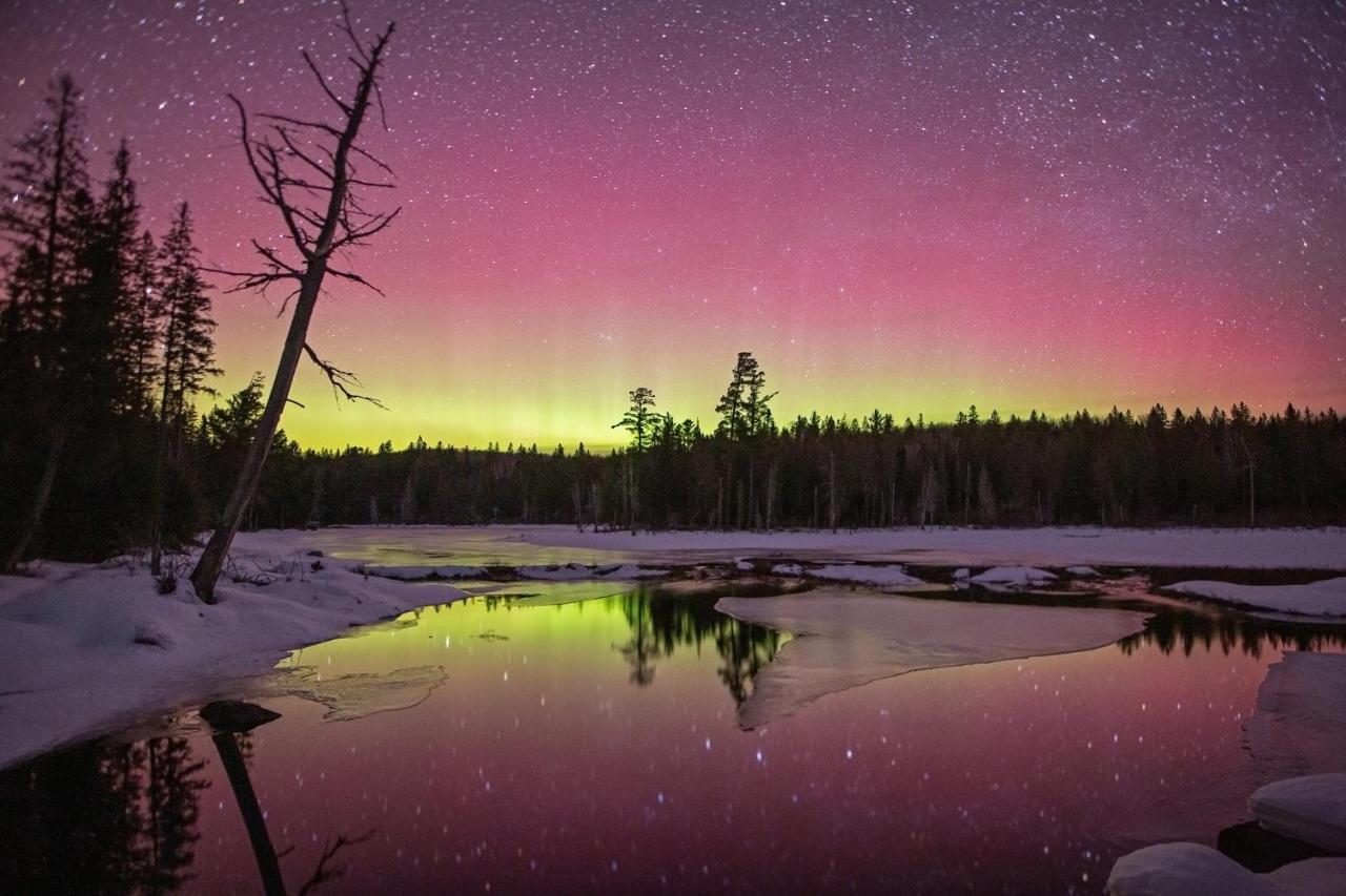 The Mad Musher - Hostel Whitney ภายนอก รูปภาพ