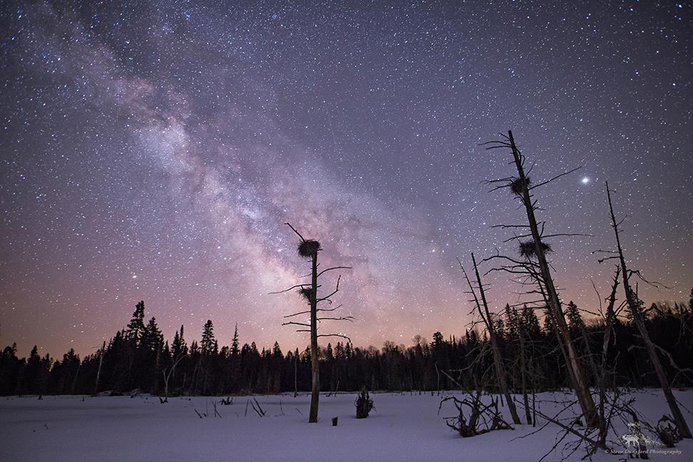 The Mad Musher - Hostel Whitney ภายนอก รูปภาพ